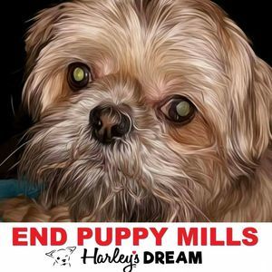 Meet your Posher, Jayme